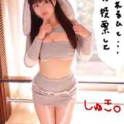 ヒメ日記 2025/10/31 17:01 投稿 りん The White