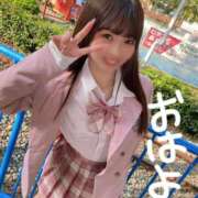 ヒメ日記 2025/11/05 08:12 投稿 りん The White