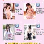 ヒメ日記 2025/11/06 20:02 投稿 りん The White