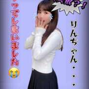 ヒメ日記 2025/11/07 16:31 投稿 りん The White