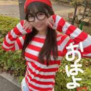 ヒメ日記 2025/11/08 08:02 投稿 りん The White