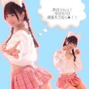 ヒメ日記 2025/11/12 08:01 投稿 りん The White