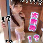 ヒメ日記 2025/11/22 18:02 投稿 りん The White