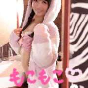 ヒメ日記 2025/11/23 17:01 投稿 りん The White