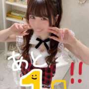 ヒメ日記 2025/11/23 18:02 投稿 りん The White