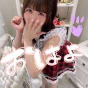 ヒメ日記 2025/11/24 08:02 投稿 りん The White