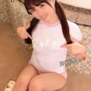 ヒメ日記 2025/11/24 14:42 投稿 りん The White