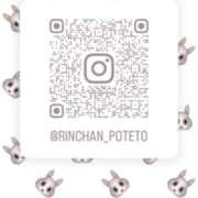 ヒメ日記 2025/11/28 17:01 投稿 りん The White