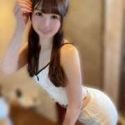 ヒメ日記 2025/11/29 08:01 投稿 りん The White