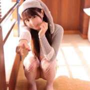 ヒメ日記 2025/12/02 10:21 投稿 りん The White