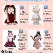 ヒメ日記 2025/12/02 18:03 投稿 りん The White