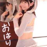 ヒメ日記 2025/12/05 08:01 投稿 りん The White