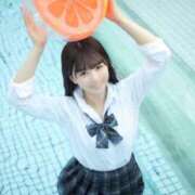 ヒメ日記 2025/12/16 08:01 投稿 りん The White