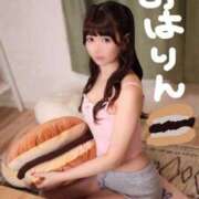 ヒメ日記 2025/12/18 08:02 投稿 りん The White