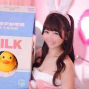 ヒメ日記 2025/12/19 08:01 投稿 りん The White