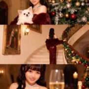 ヒメ日記 2025/12/25 20:15 投稿 りん The White