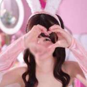 ヒメ日記 2025/12/30 08:02 投稿 りん The White