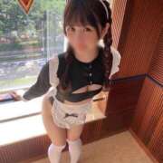 ヒメ日記 2026/01/29 08:01 投稿 りん The White