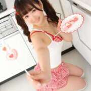 ヒメ日記 2026/02/06 08:01 投稿 りん The White