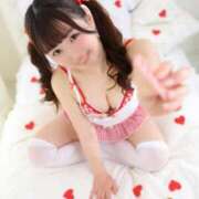 ヒメ日記 2026/02/11 08:01 投稿 りん The White