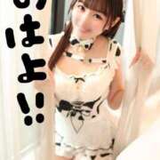 ヒメ日記 2026/04/15 10:40 投稿 りん The White