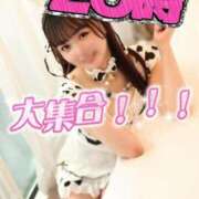 ヒメ日記 2026/04/20 19:18 投稿 りん The White