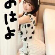 ヒメ日記 2026/04/22 08:01 投稿 りん The White