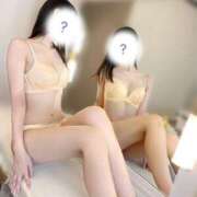 ヒメ日記 2025/07/15 10:15 投稿 にこ The White