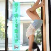 ヒメ日記 2025/07/19 07:07 投稿 にこ The White