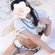 ヒメ日記 2025/08/15 18:21 投稿 にこ The White