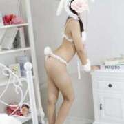 ヒメ日記 2025/08/27 02:55 投稿 にこ The White