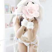 ヒメ日記 2025/09/04 02:09 投稿 にこ The White