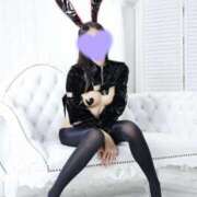 ヒメ日記 2025/09/04 08:05 投稿 にこ The White