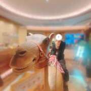 ヒメ日記 2025/09/29 16:04 投稿 にこ The White