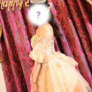 ヒメ日記 2025/11/19 06:33 投稿 にこ The White