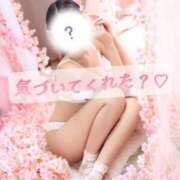 ヒメ日記 2026/04/02 12:03 投稿 にこ The White