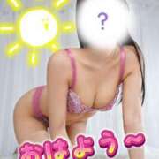 ヒメ日記 2026/04/03 07:01 投稿 にこ The White