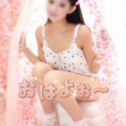 ヒメ日記 2026/04/04 07:01 投稿 にこ The White