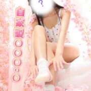 ヒメ日記 2026/04/05 09:01 投稿 にこ The White