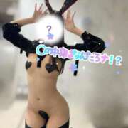 ヒメ日記 2026/04/05 22:01 投稿 にこ The White