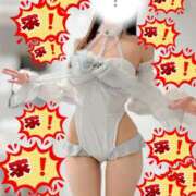 ヒメ日記 2026/04/06 20:03 投稿 にこ The White