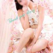 ヒメ日記 2026/04/09 06:17 投稿 にこ The White