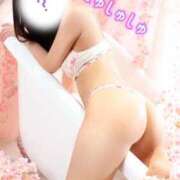 ヒメ日記 2026/04/11 09:02 投稿 にこ The White