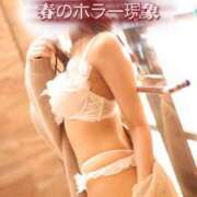 ヒメ日記 2026/04/11 23:00 投稿 にこ The White