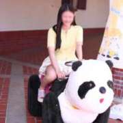 ヒメ日記 2026/04/21 18:23 投稿 にこ The White