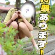 ヒメ日記 2026/04/22 14:36 投稿 にこ The White