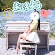 ヒメ日記 2026/04/24 07:21 投稿 にこ The White