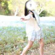 ヒメ日記 2026/04/25 14:20 投稿 にこ The White