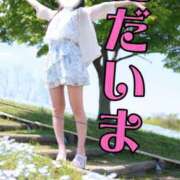 ヒメ日記 2026/04/30 14:15 投稿 にこ The White