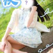 ヒメ日記 2026/05/04 18:52 投稿 にこ The White